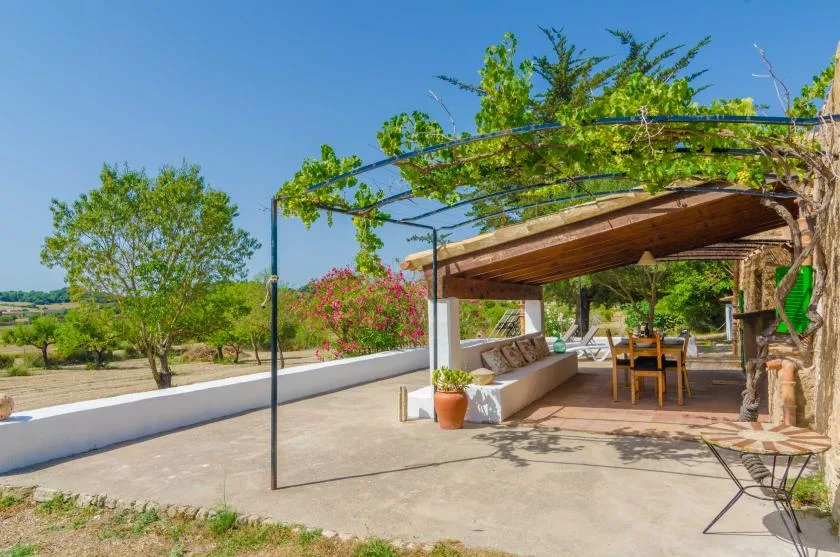 An outdoor patio with a shaded dining area and climbing greenery overhead.