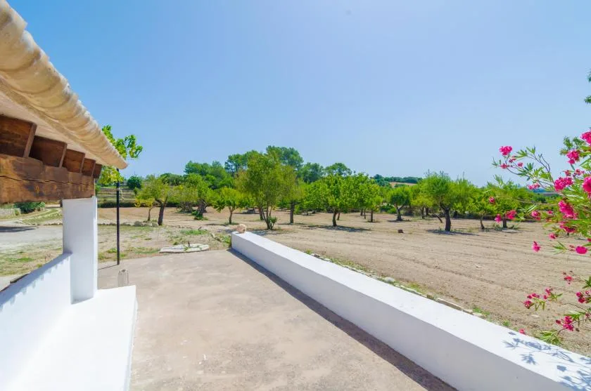 A sunny outdoor courtyard opens toward a dry, tree-dotted landscape.