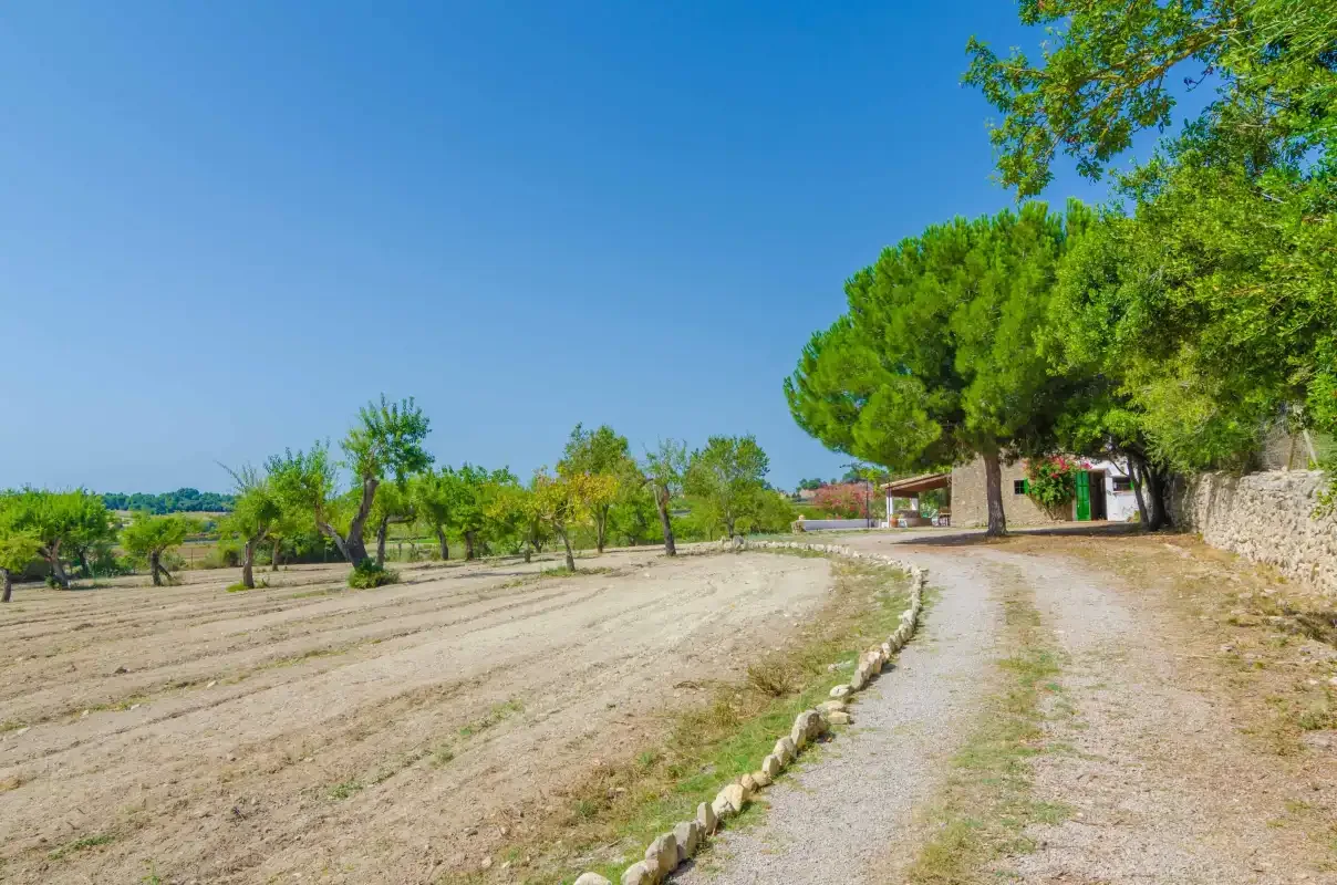 A rural dirt path runs beside a cultivated field toward a shaded building.
