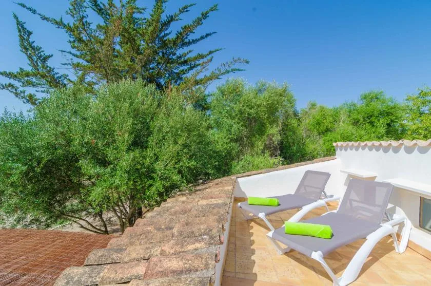 Outdoor terrace with lounge seating beside green trees under a clear blue sky.