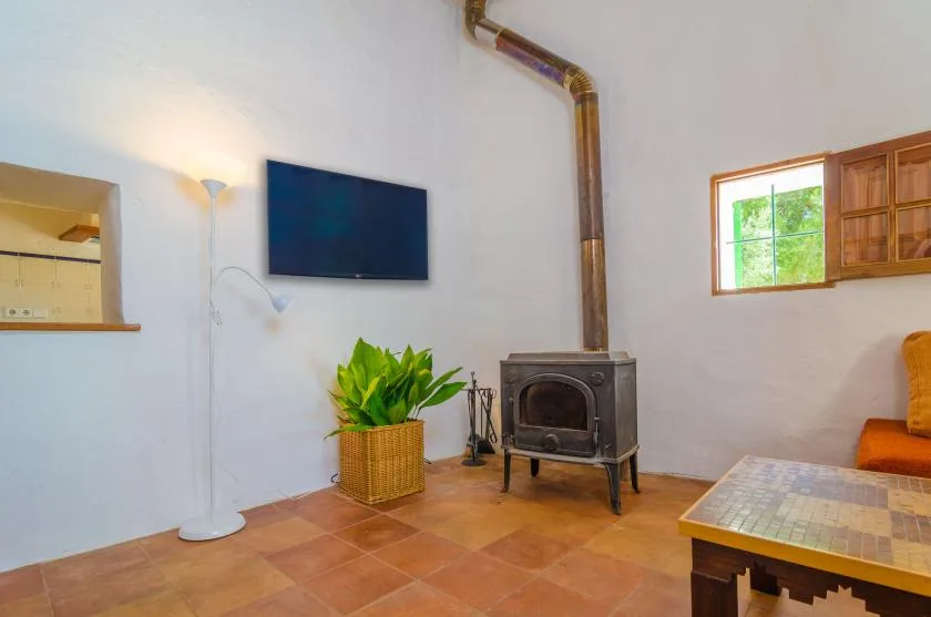 A living room with a freestanding stove, wall-mounted television, and potted plant.