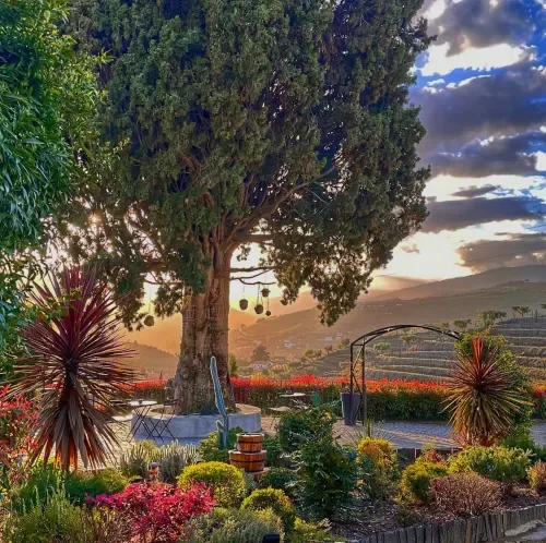 Quinta da Salada property photo