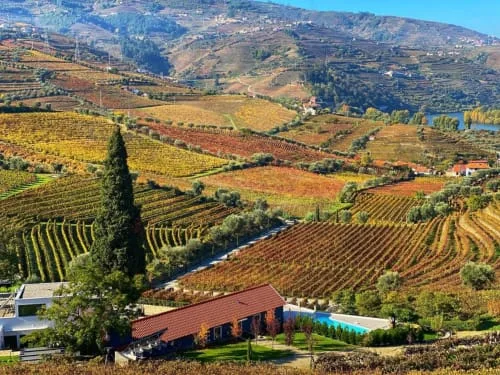 Quinta da Salada property photo