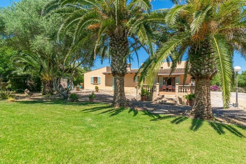A single-story house sits behind a green lawn and several palm trees.
