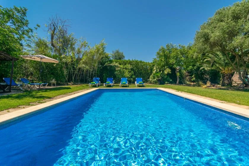 An outdoor swimming pool surrounded by green landscaping and lounge seating.