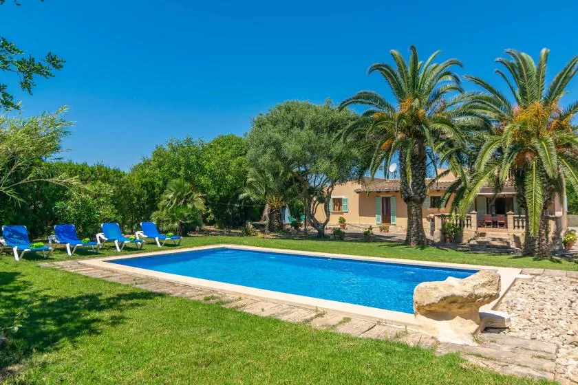 An outdoor swimming pool beside a landscaped garden and palm trees.