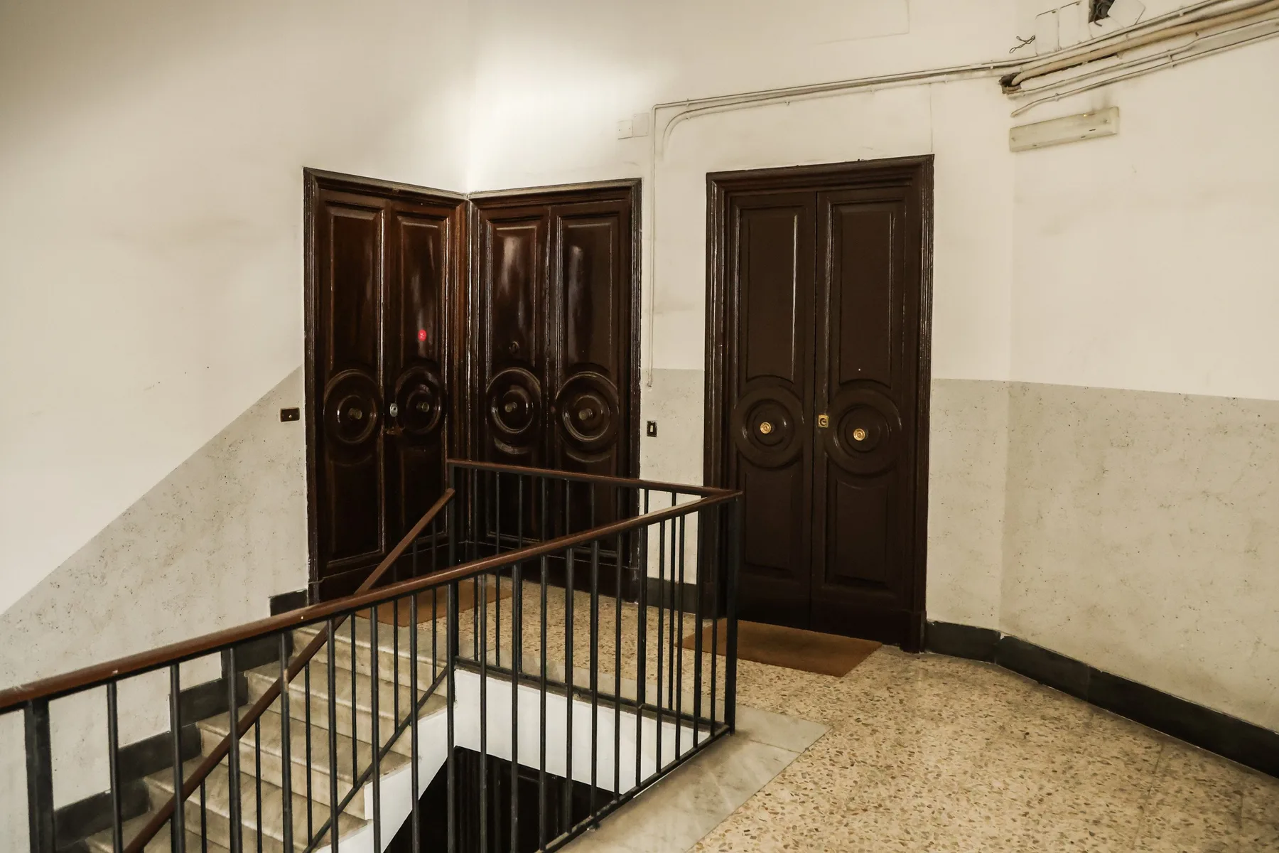 A stairwell landing with dark wooden doors and a metal railing.