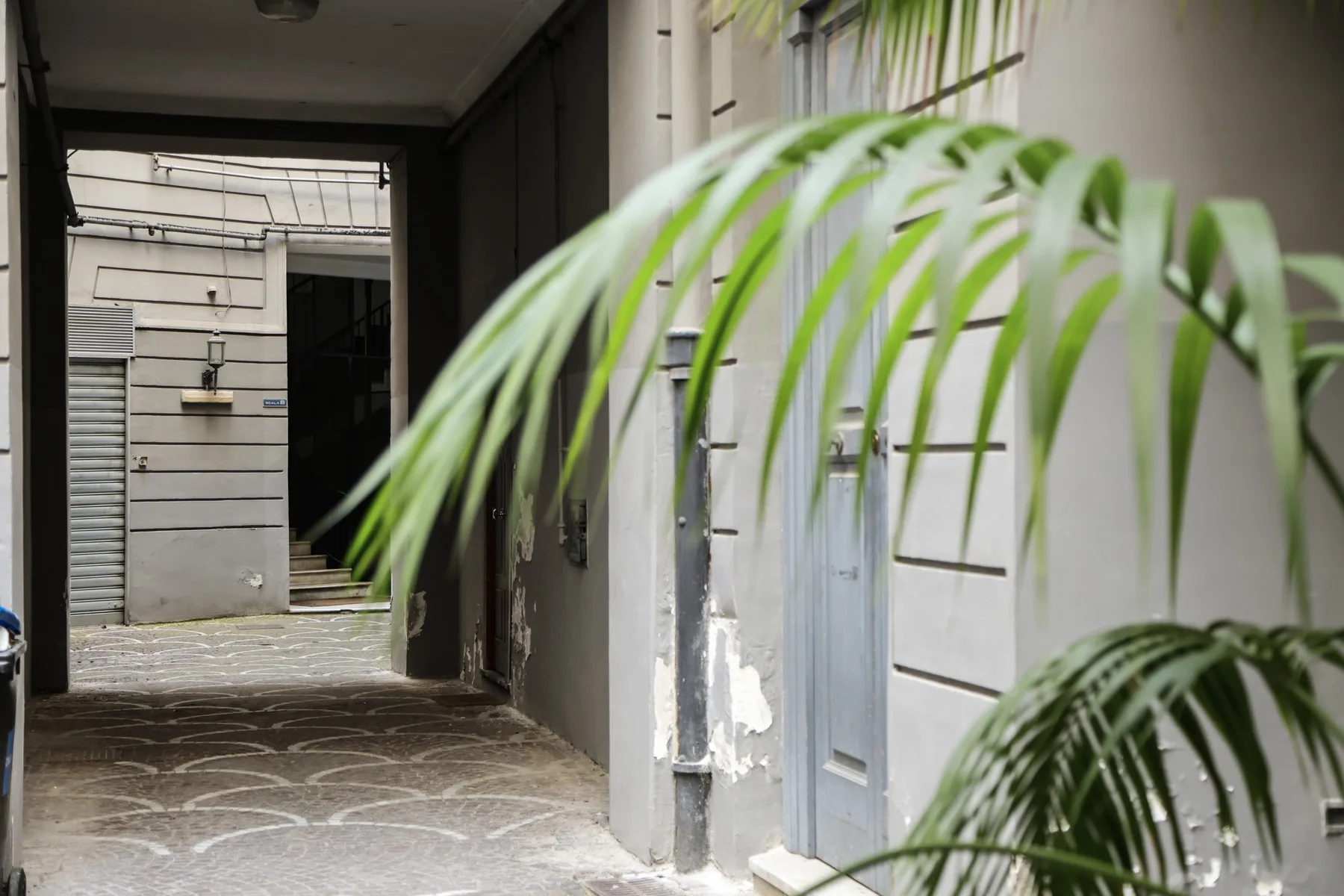 A covered passage runs between pale walls, with palm fronds in the foreground.