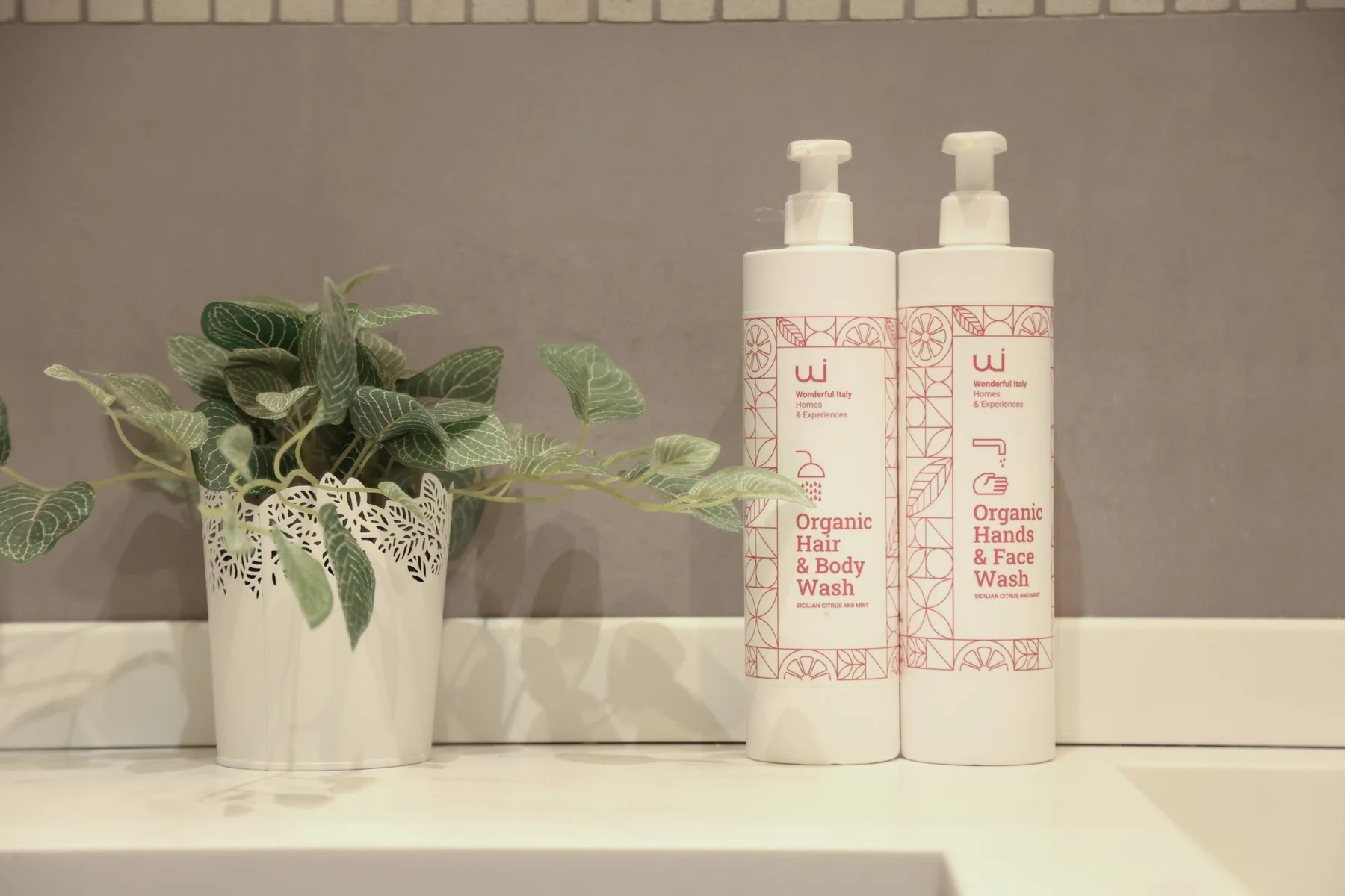 Bathroom counter with a leafy potted plant beside two pump bottles.
