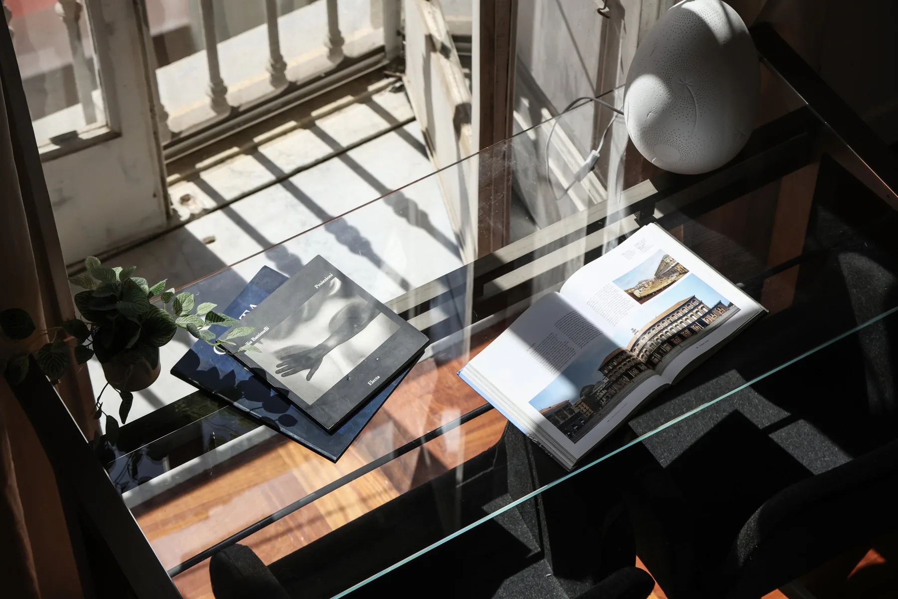 A glass table holds open books beside a potted plant in a sunlit room.