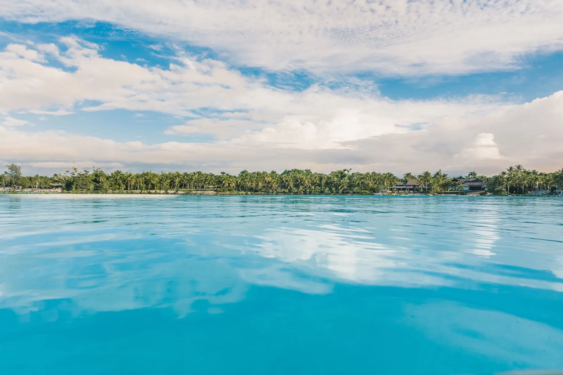 A tropical shoreline lined with palm trees sits beyond calm turquoise water.