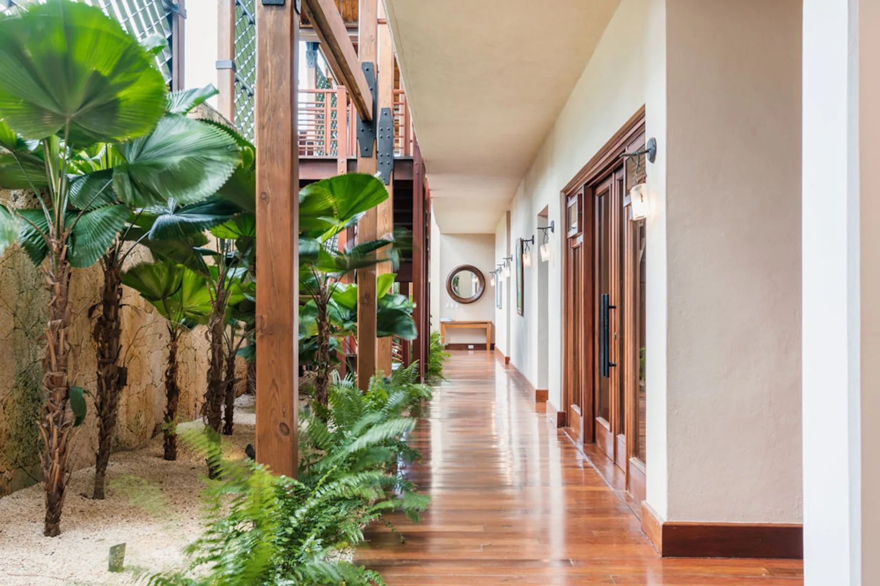 A bright indoor hallway with wooden flooring and leafy plants along one side.