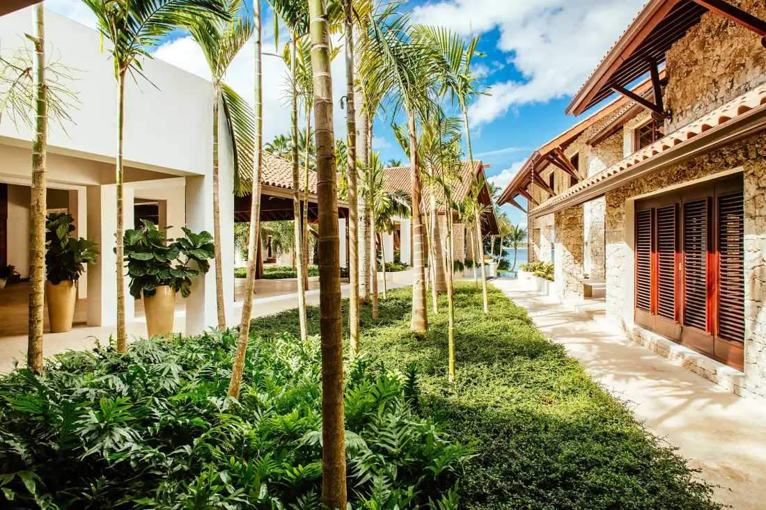 A landscaped courtyard with palm trees sits between two rows of buildings.