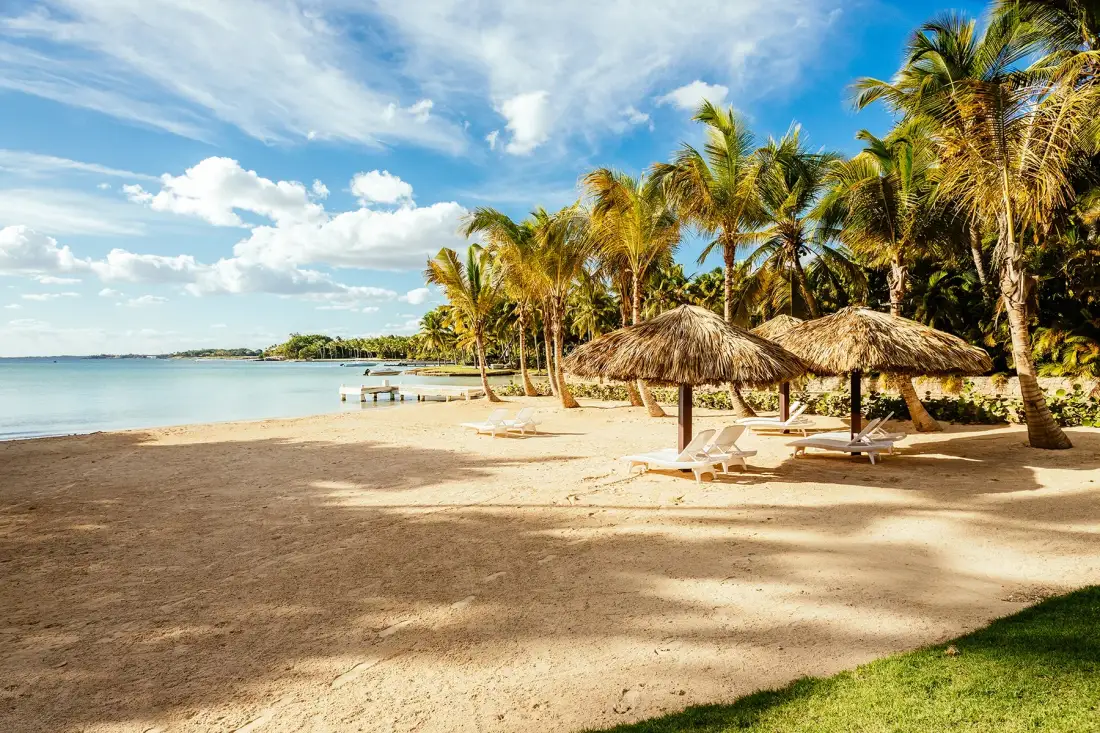 A sandy beach with thatched shade shelters and palm trees beside the water.