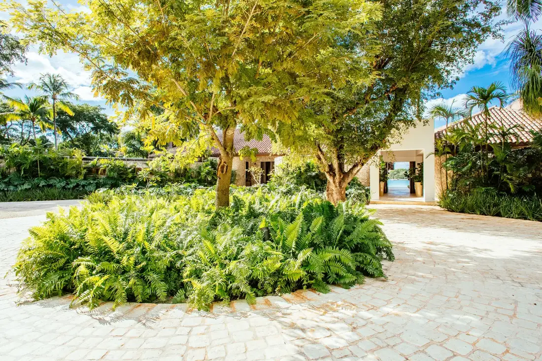 A landscaped courtyard with leafy trees, tropical plants, and a paved walkway.