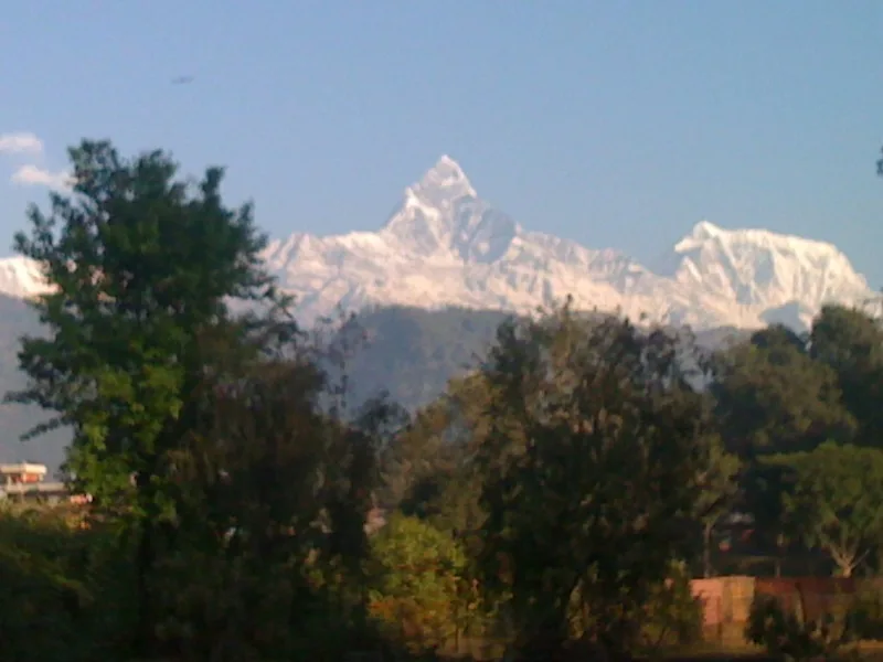 View from room