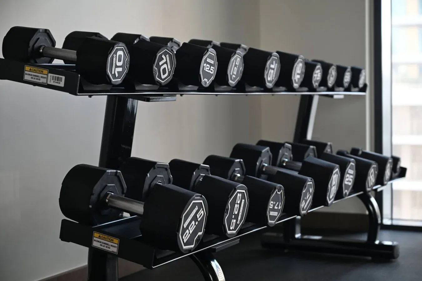 Un soporte de gimnasio muestra filas de mancuernas frente a una pared clara.