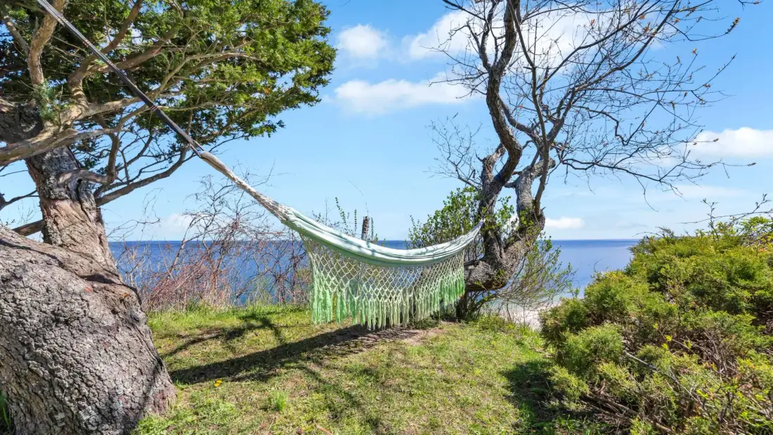 Una hamaca cuelga entre árboles con vistas al mar.