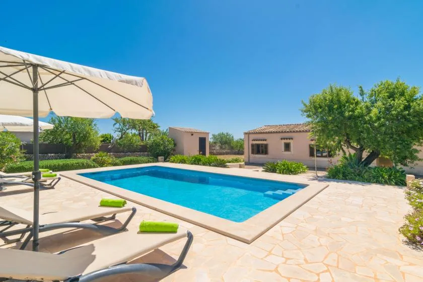 An outdoor swimming pool sits beside a paved patio with lounge seating and an umbrella.