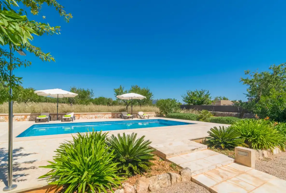 Una piscina al aire libre está rodeada por una terraza pavimentada y vegetación.