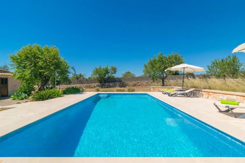 Una piscina al aire libre junto a una terraza pavimentada con tumbonas y sombrillas.