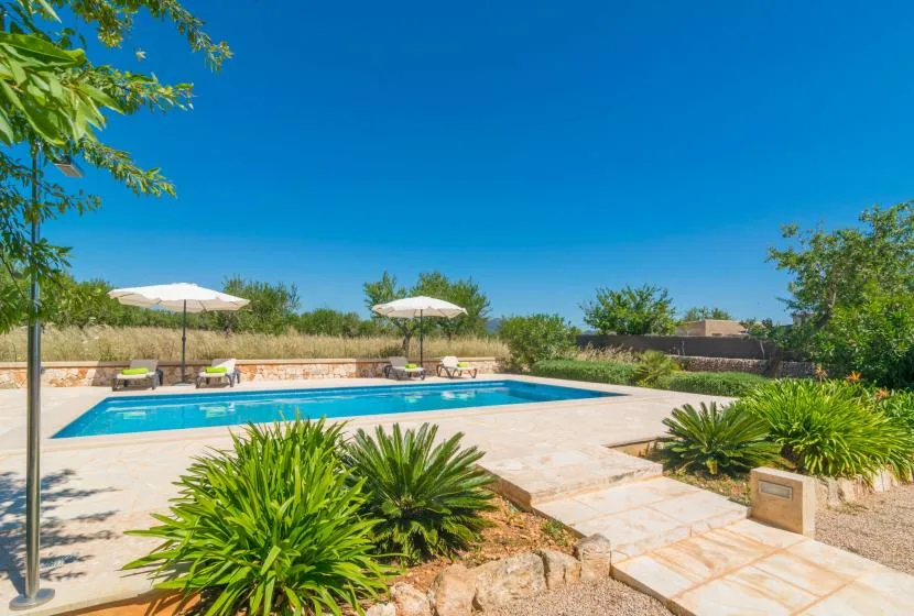 Una piscina al aire libre rodeada de pavimento y vegetación ajardinada.