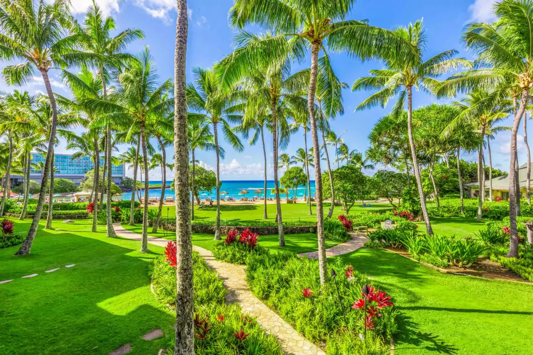 Turtle Bay Villas 206