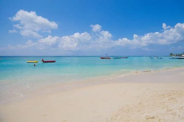 Coral Sands #6