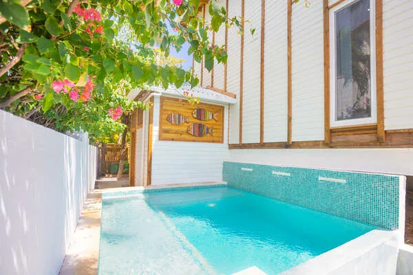 A small outdoor pool beside a white building, shaded by leafy branches.