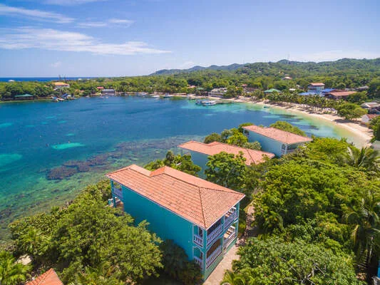 Coral Vista #3
