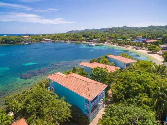 Coral Vista #3