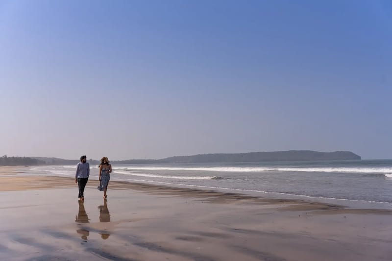 Konkan Kinara