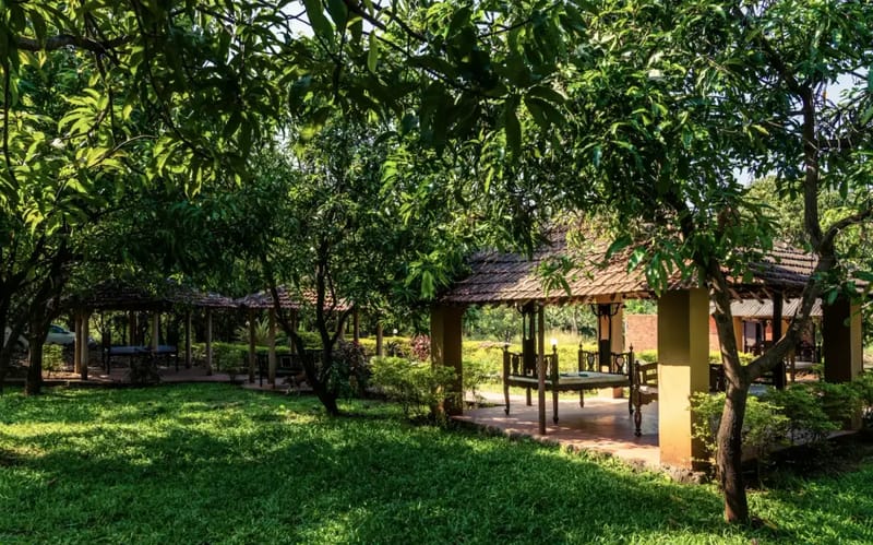 Mango Huts by the River (5 Bedroom Entire Estate)