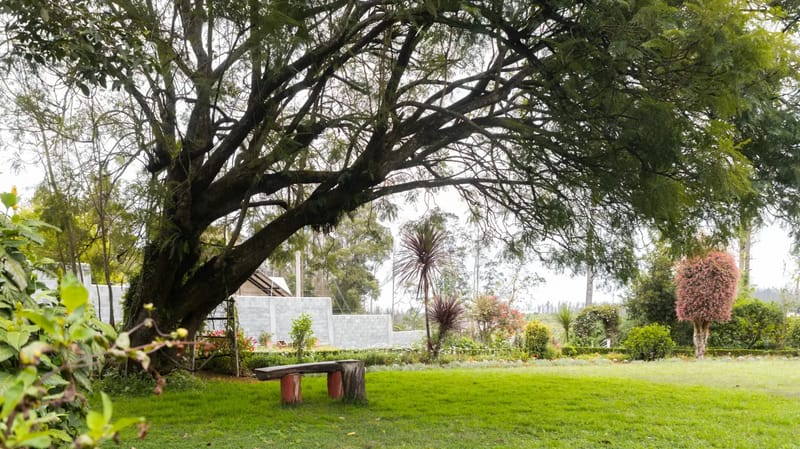 Milton Abbott Estate (finca completa)