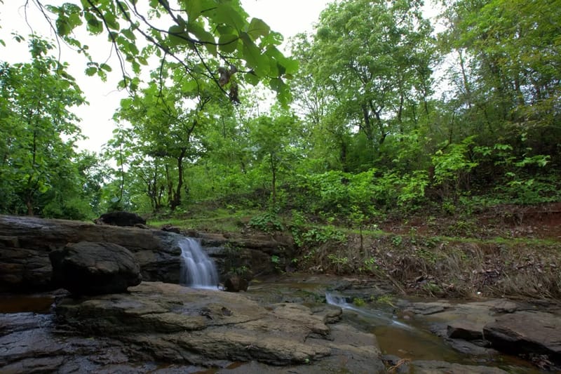 Nithyam - Wada, Maharashtra