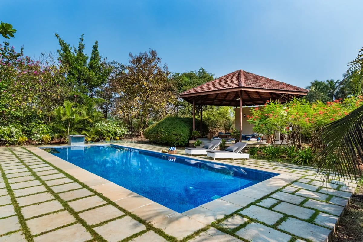 Mograa laffaire - Alibaug, Maharashtra