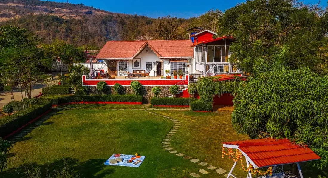 Olive Greens - Karjat