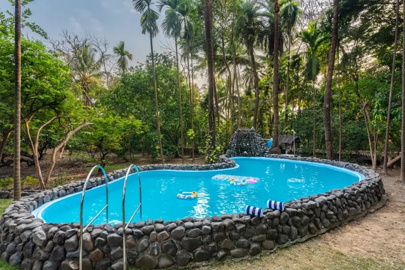 Chikoo Wadi - Palghar, Maharshtra
