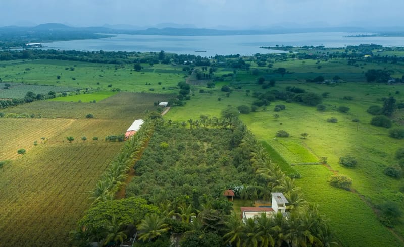 Mango Vino - Nashik, Igatpuri, Maharashtra
