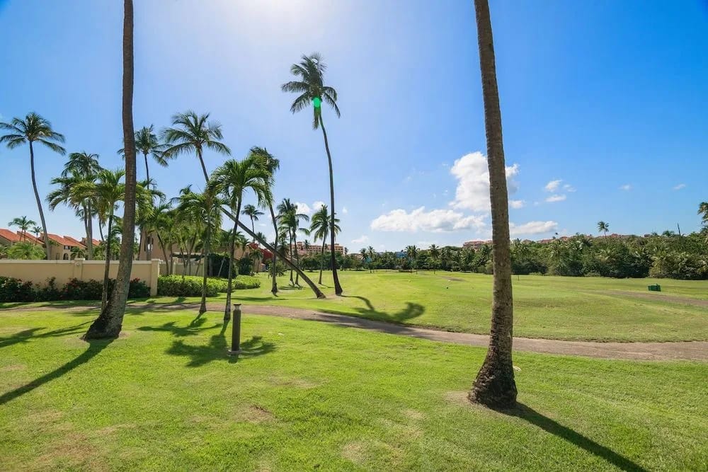 Palm trees and landscaped surroundings.