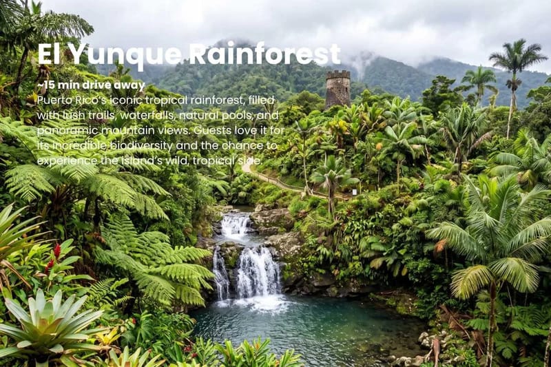 12 Min Playa del Yunque | Private Entrance | AC