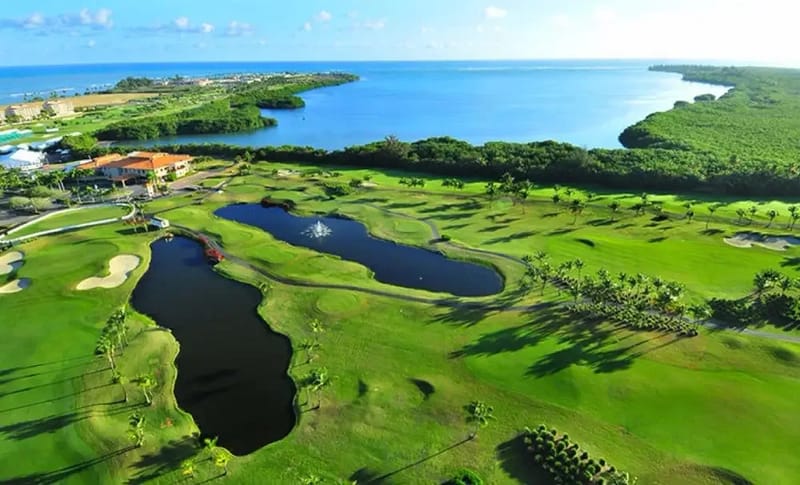Hyatt Regency Grand Reserve: golf, ocean and rainforest views