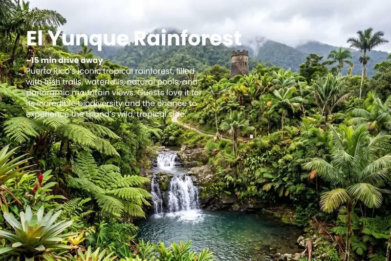 Playa del Yunque | Mountain View | Full Kitchen 15