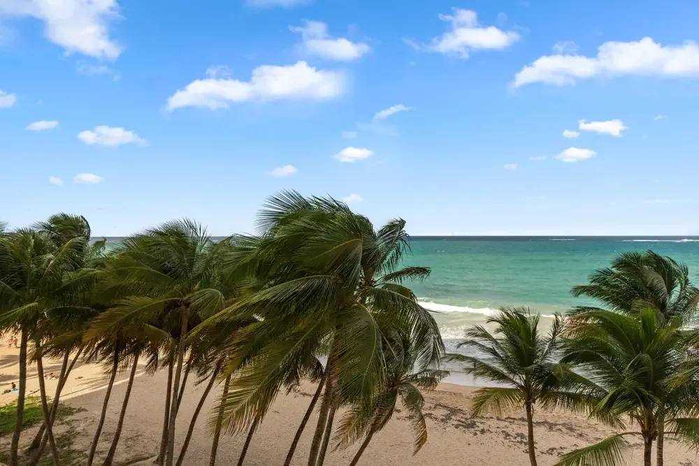 The unit has a city view, while the building is beachfront with direct access to the sand.