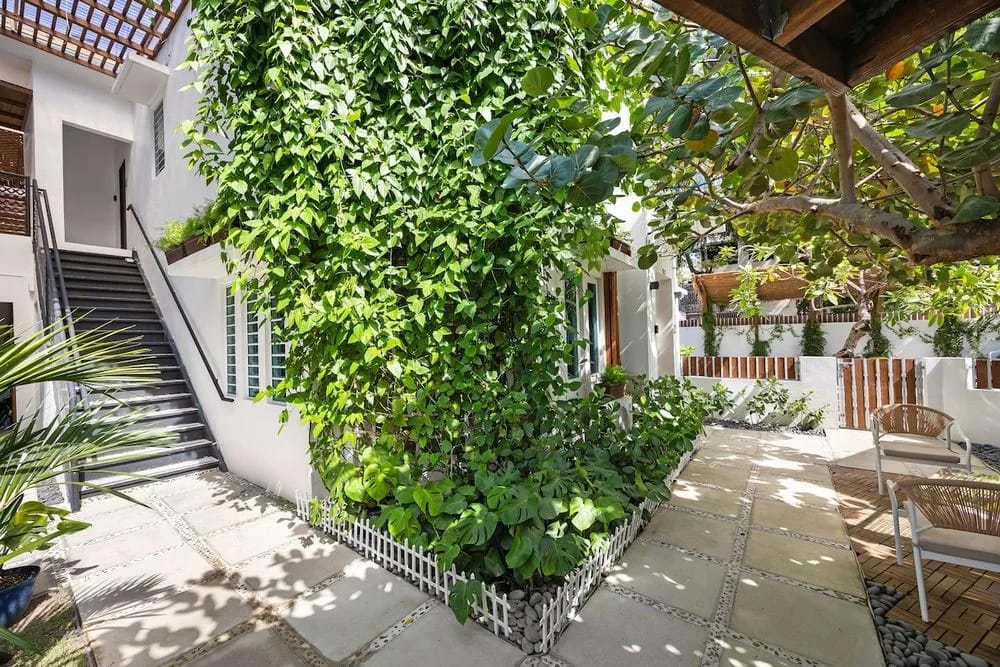 Un encantador espacio de jardín con lindas plantas y sillas.