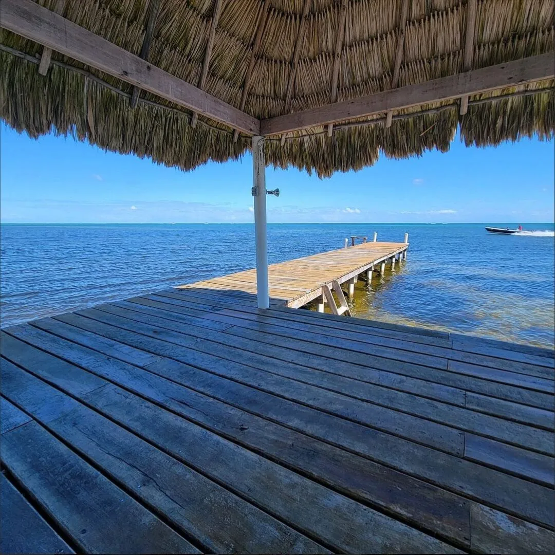 Una terraza de madera bajo un techo de paja da al mar y a un muelle.