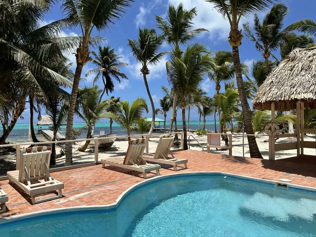 A swimming pool overlooks a palm-lined beach and turquoise water.