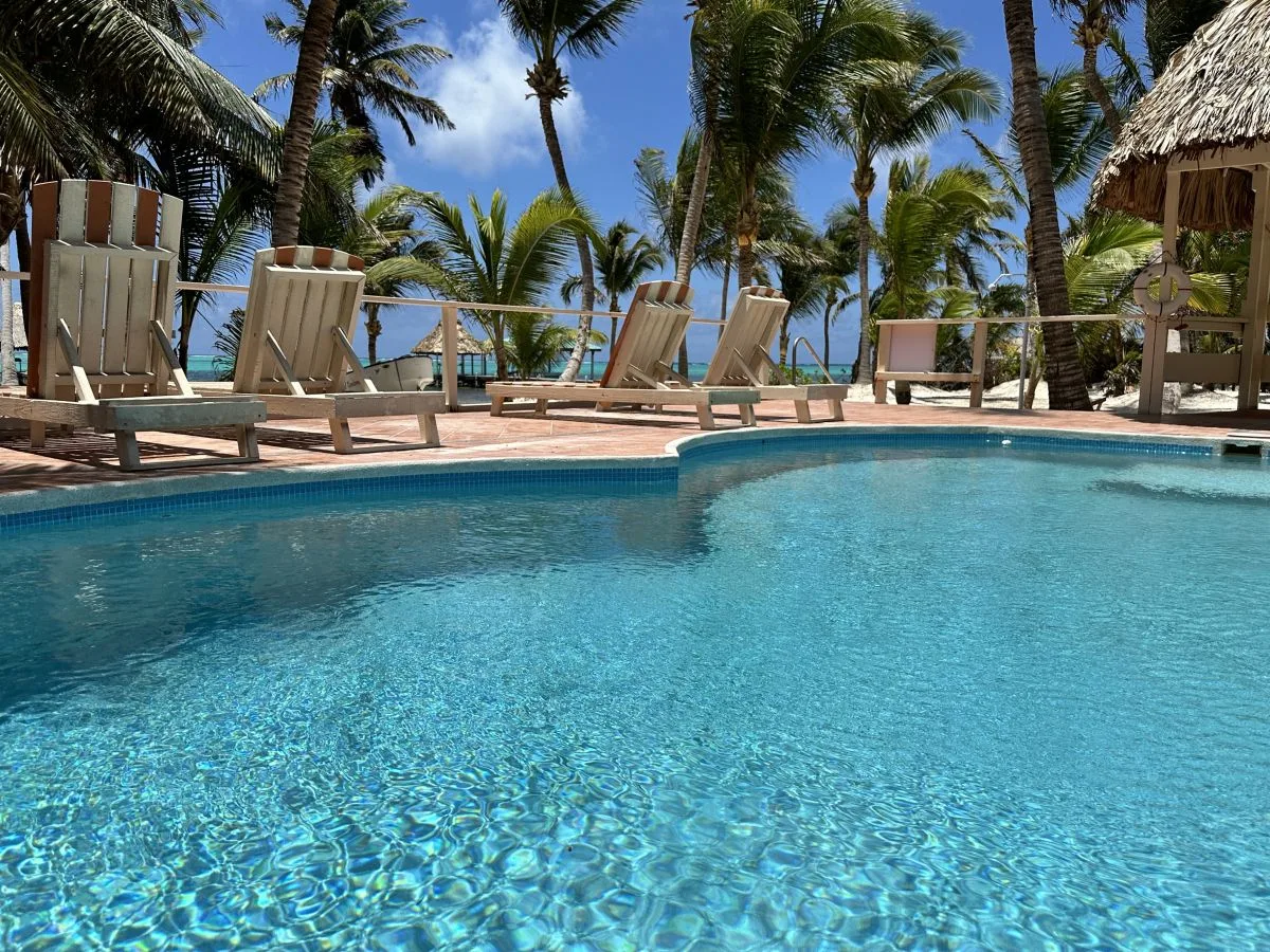 Dive into relaxation in our serene pool, framed by lush palms.