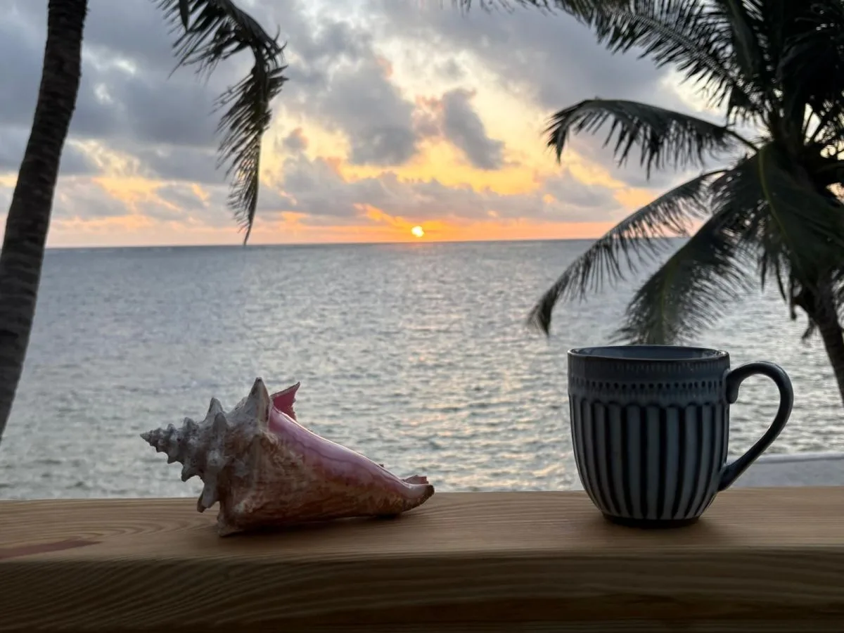 Sunset over the ocean, framed by palm trees, with a shell and mug on a wooden ledge.
