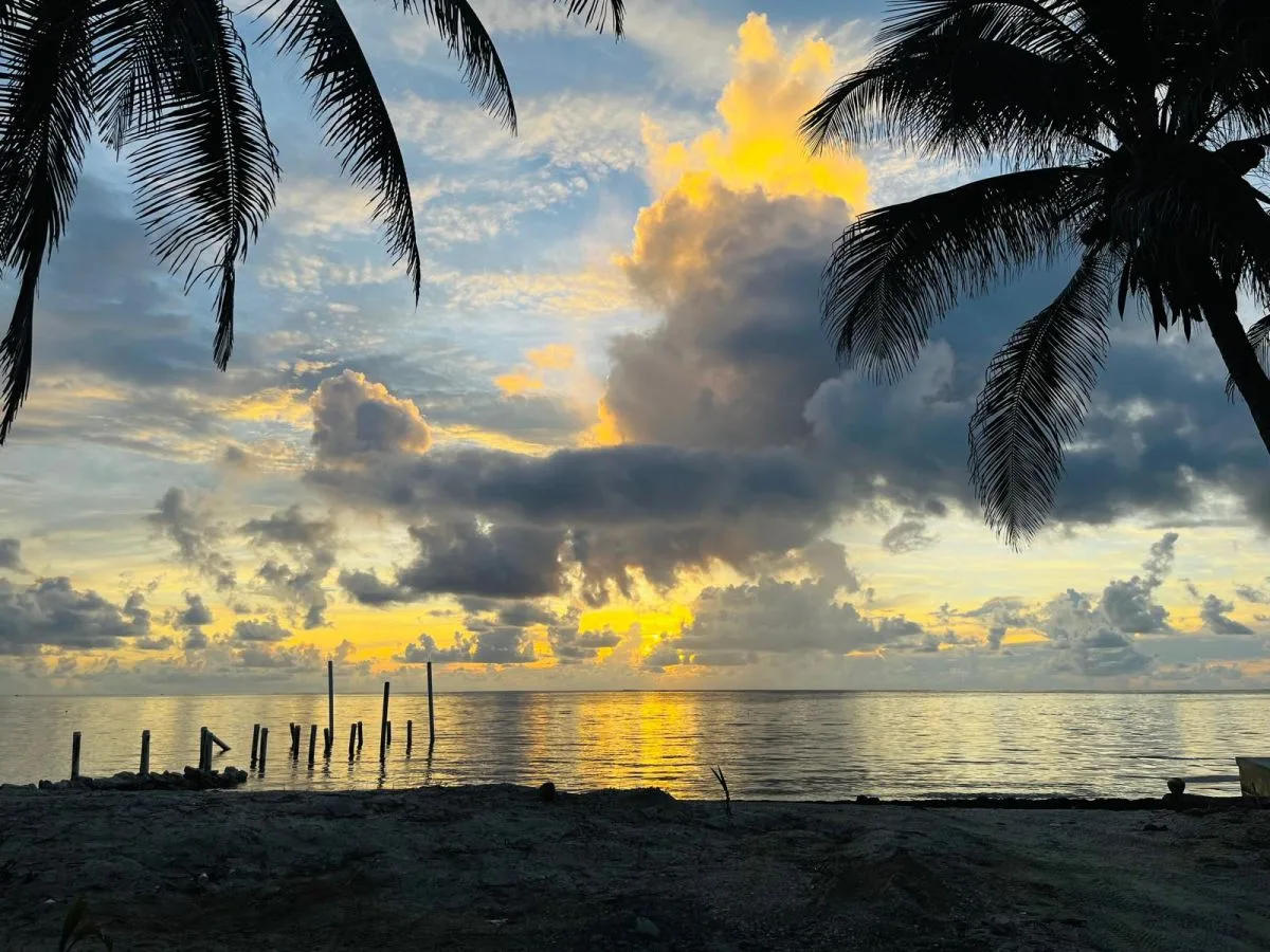 A colorful sunset over the water, framed by palm trees.